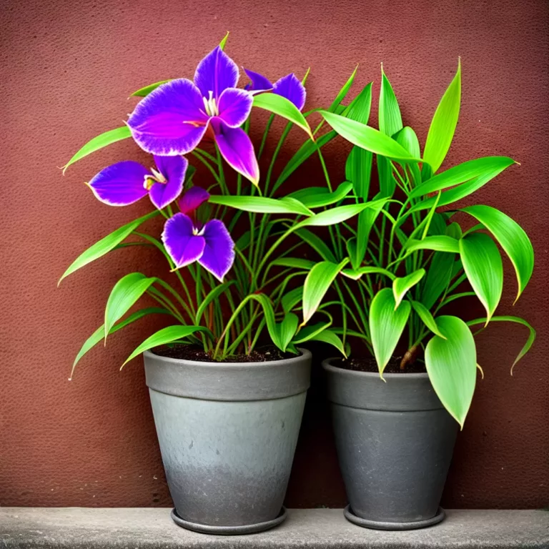 SURPREENDA com Plantas Raras como Presentes Únicos!