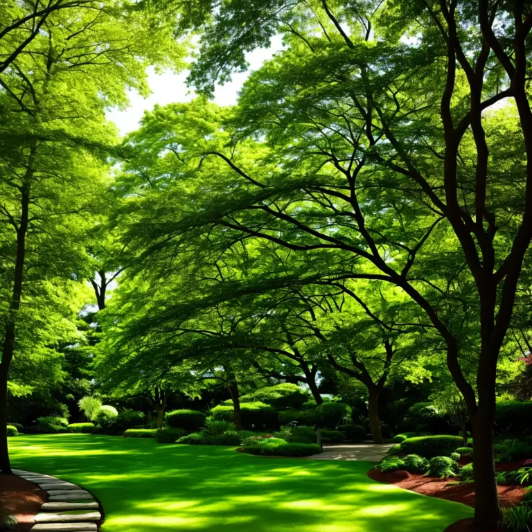 Jardins em áreas com luz difusa