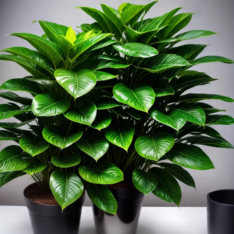 Cuidados Essenciais com a Ficus Lyrata: Dicas para Mantê-la Saudável
