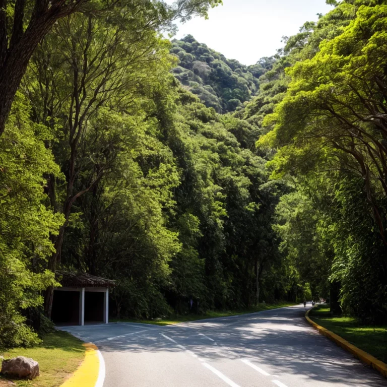 Móveis com design inclusivo: adaptando para todas as necessidades