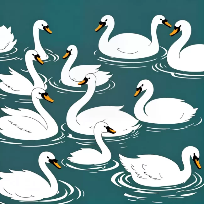 Fotos cisnes kawaii lagoa graca