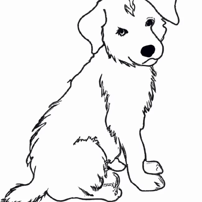desenhos filhote cachorro imprimir colorir gratis 4