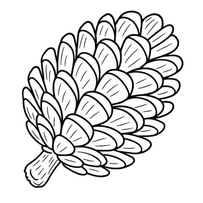 desenhos de pinhao para imprimir e colorir 1
