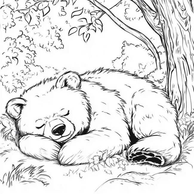 urso dormindo pra colorir 15
