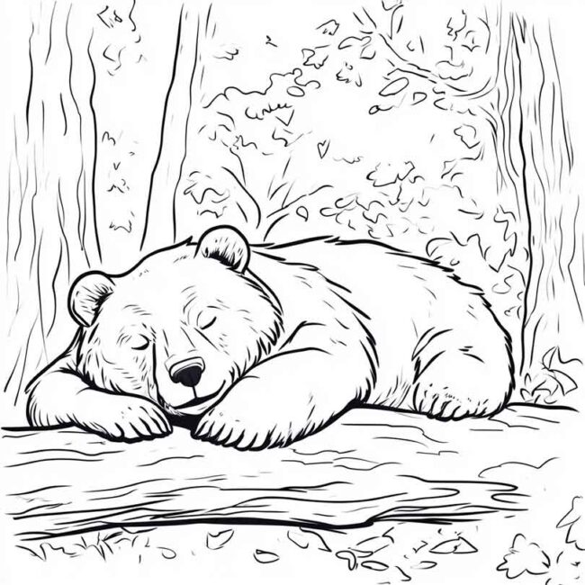 urso dormindo pra colorir 11