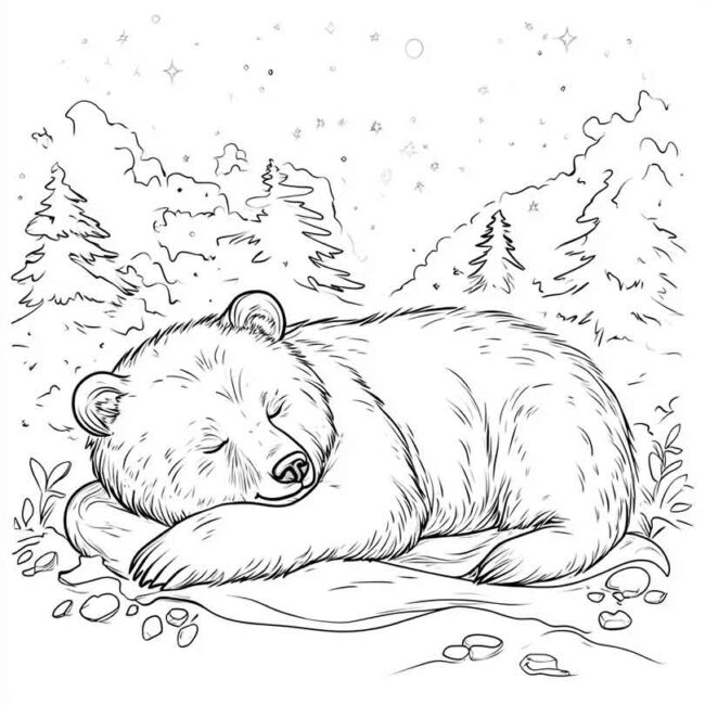 urso dormindo pra colorir 5