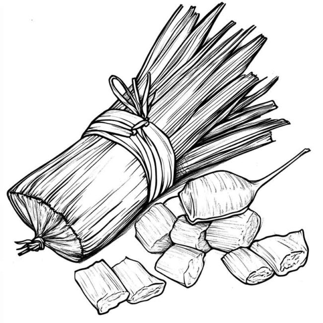 pamonha para colorir 40