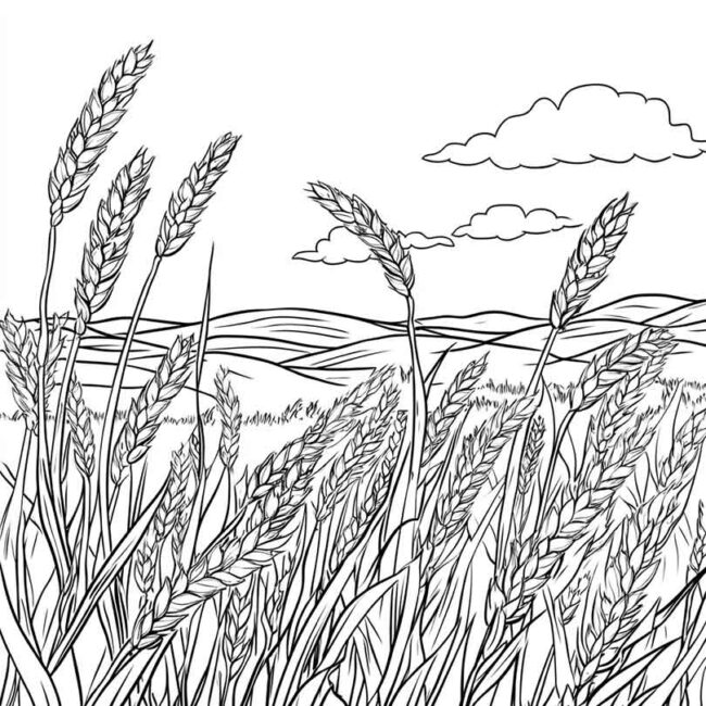 plantacao de trigo para colorir 8 plantacao de trigo para colorir 8