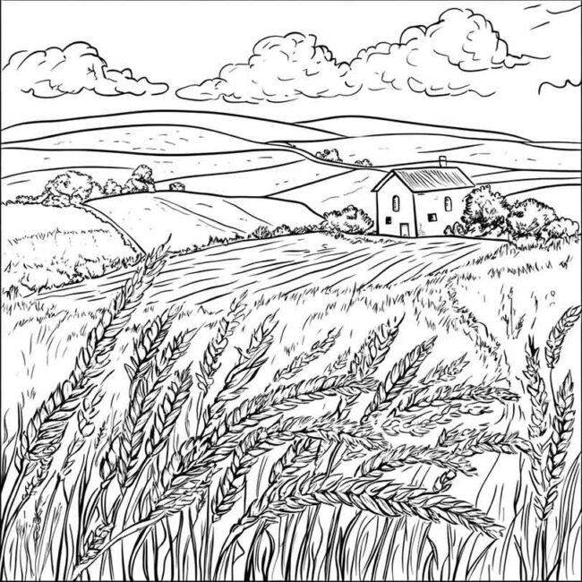 plantacao de trigo para colorir 45 plantacao de trigo para colorir 45