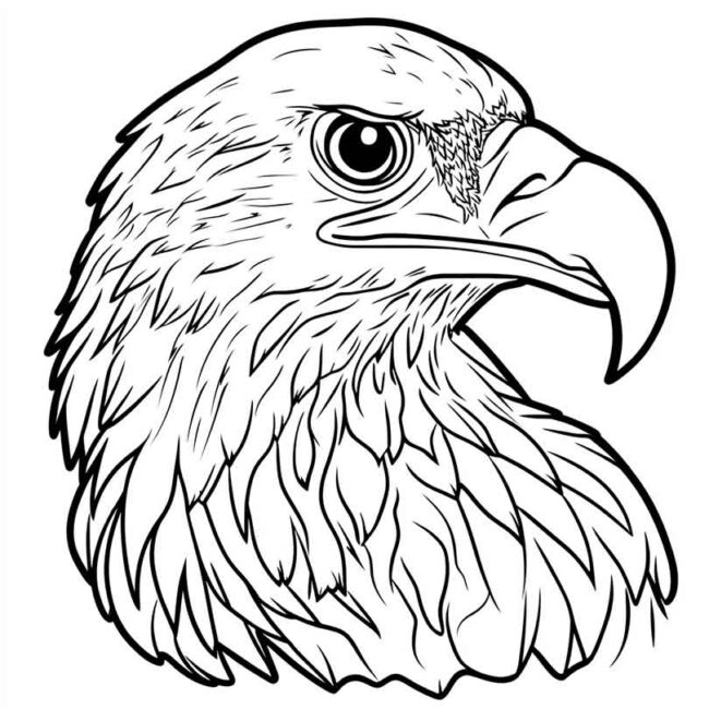 emoji de urubu para colorir 9 emoji de urubu para colorir 9