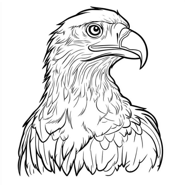 emoji de urubu para colorir 13 emoji de urubu para colorir 13