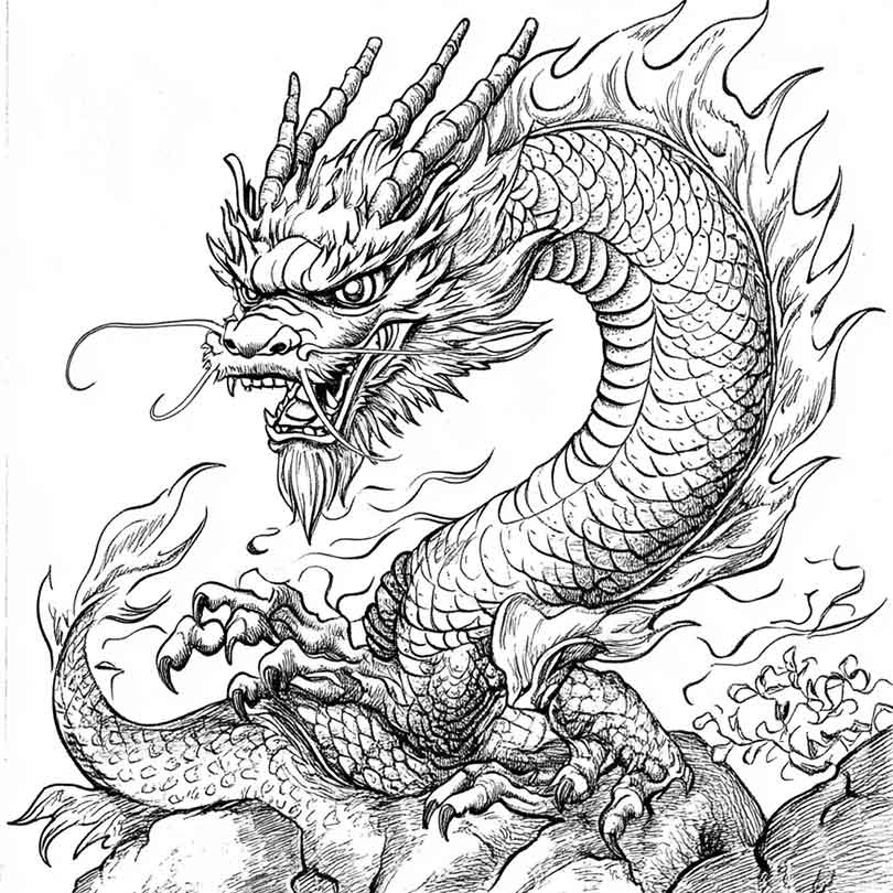 Dragao Japones para colorir 10 Dragão-Japonês-para-colorir-(10)