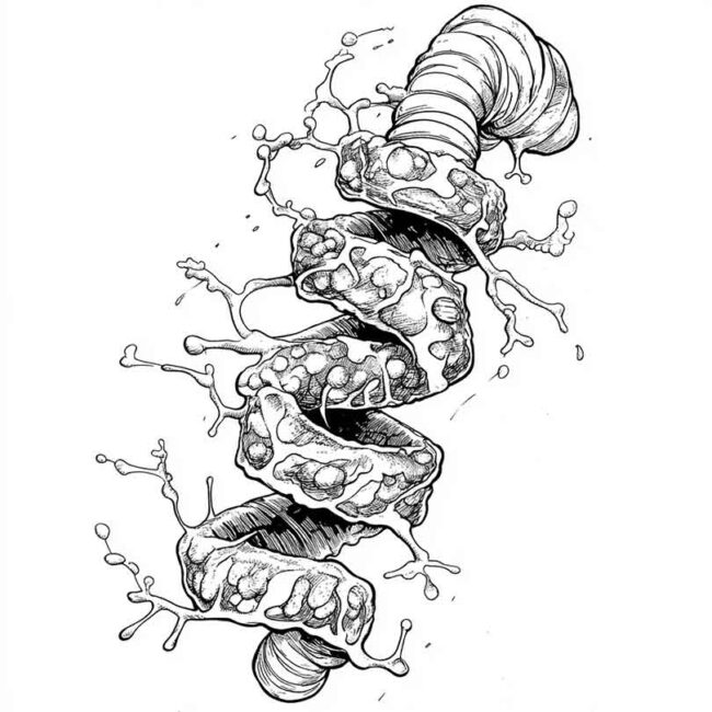 cromossomo para colorir png 10