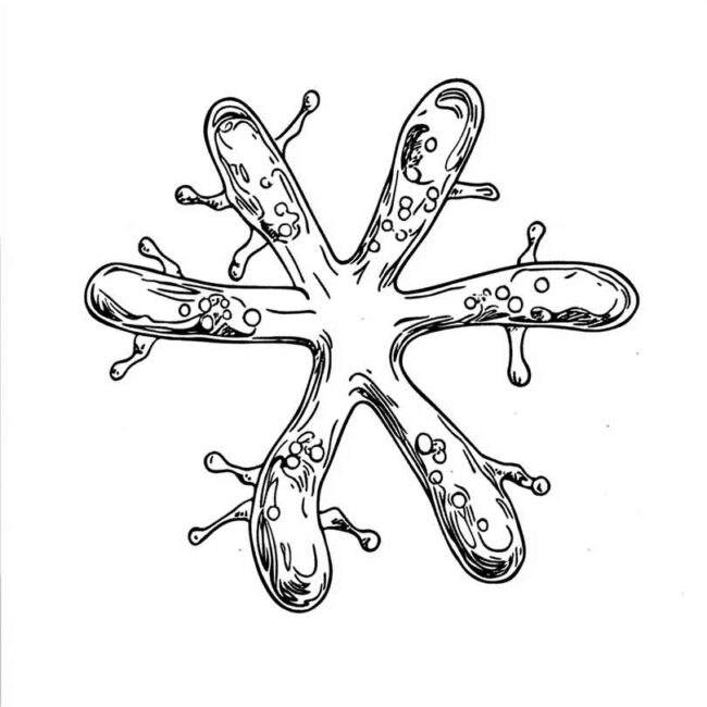 cromossomo para colorir png 16