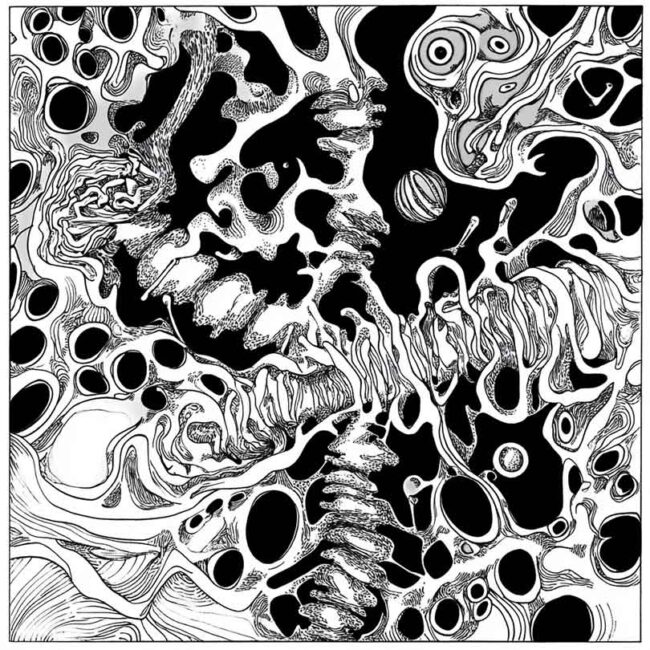 cromossomo para colorir png 21