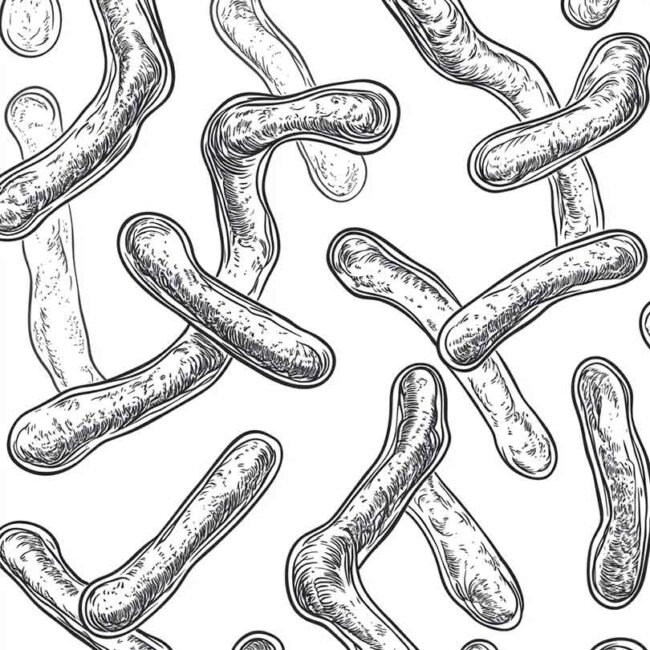 cromossomo para colorir png 1
