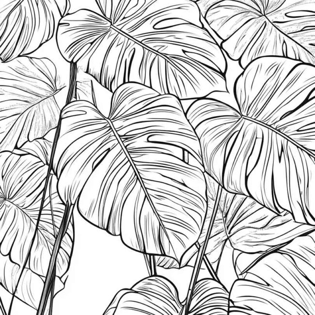 desenhos de filoendro para imprimir e colorir png 8
