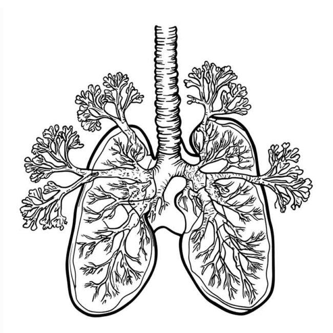 desenhos de pneumonia para imprimir e colorir 89