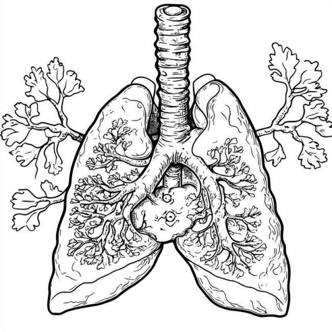 desenhos de pneumonia para imprimir e colorir 90