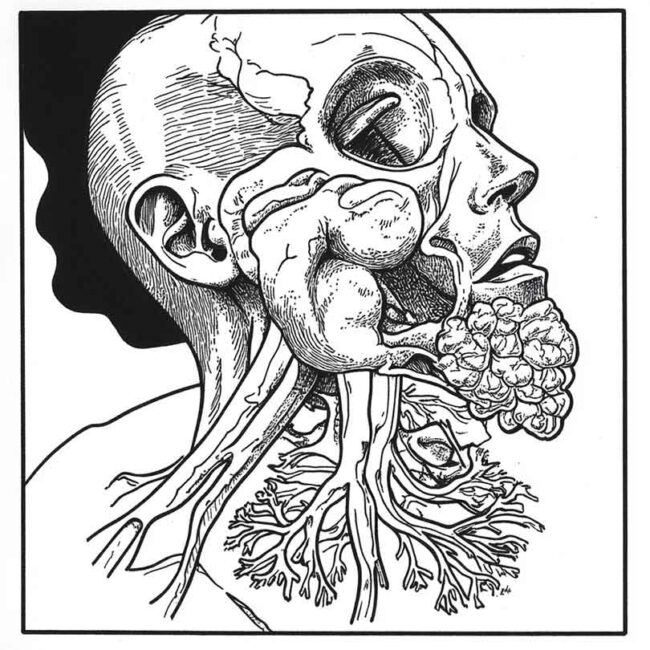 desenhos de pneumonia para imprimir e colorir 73
