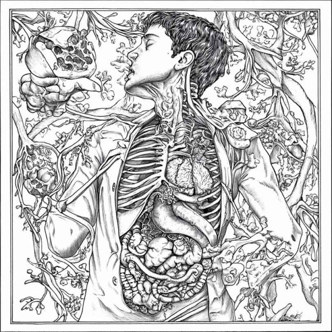 desenhos de pneumonia para imprimir e colorir 51