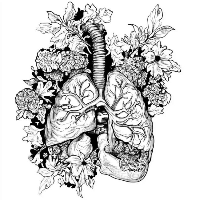 desenhos de pneumonia para imprimir e colorir 82