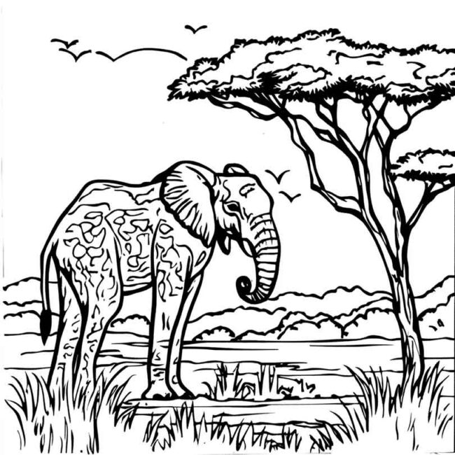 Desenhos do Quenia para Imprimir e Colorir 21