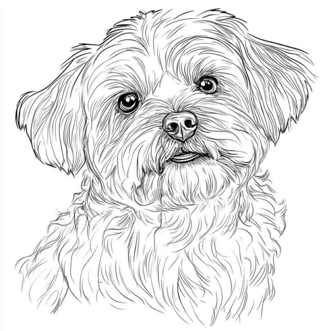 desenhos de cachorro maltes para imprimir e colorir pintar png 17