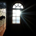 Conceito de Diário: Origem, Definição e Significado