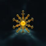 Conceito de Sistema de órgãos: Origem, Definição e Significado