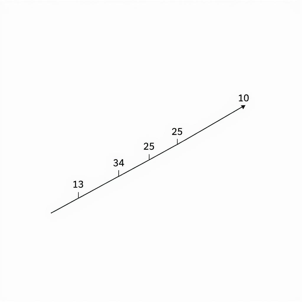 Como Capturar um Morcego em sua Casa Como Capturar um Morcego em sua Casa