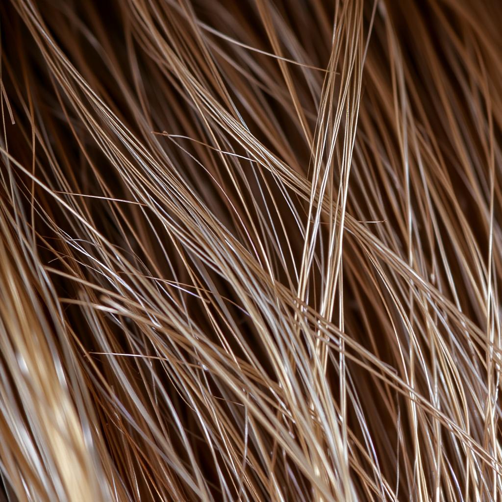 Queratina para o cabelo: o que é e quais são os benefícios