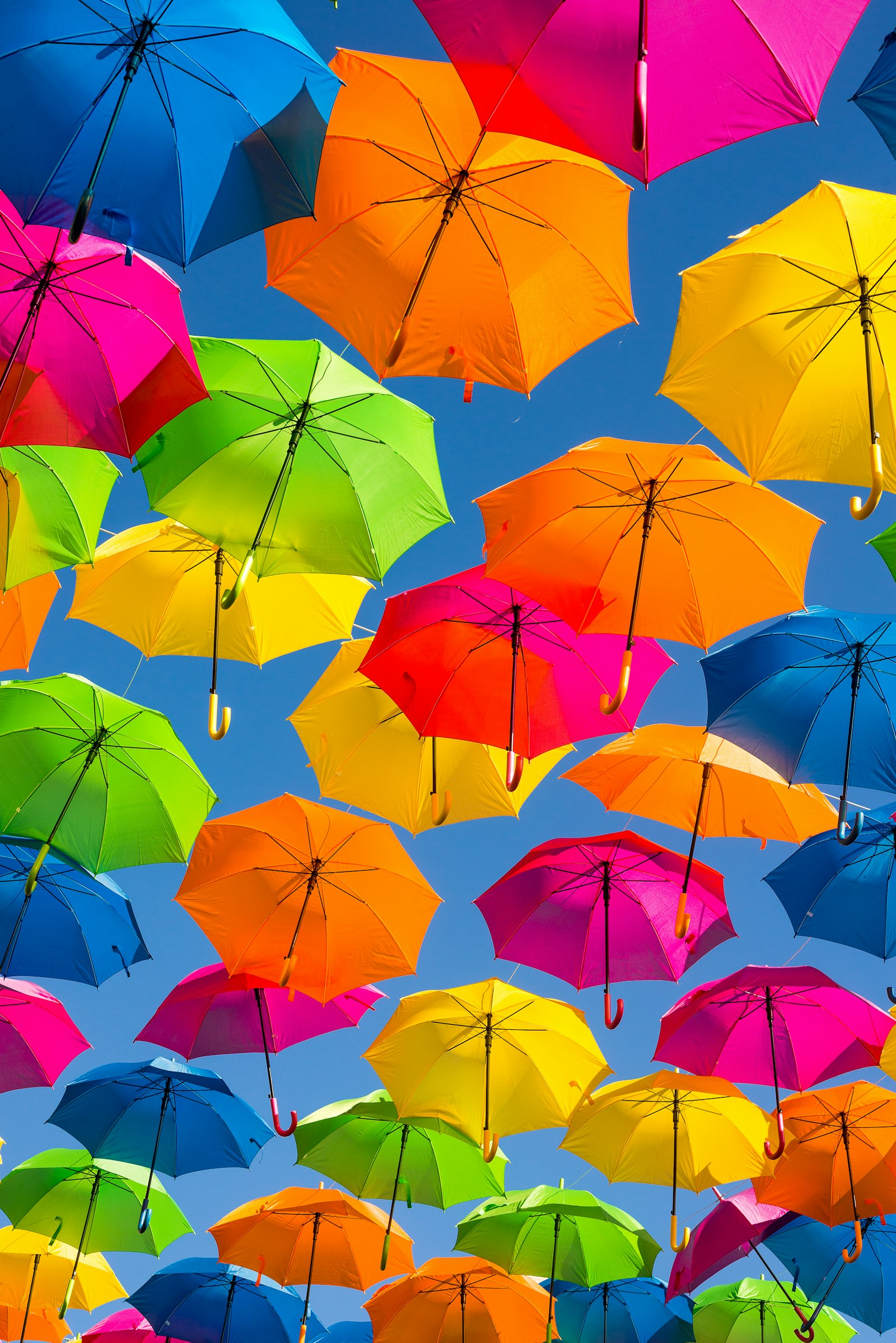 Guarda-chuvas coloridos suspensos contra o céu azul