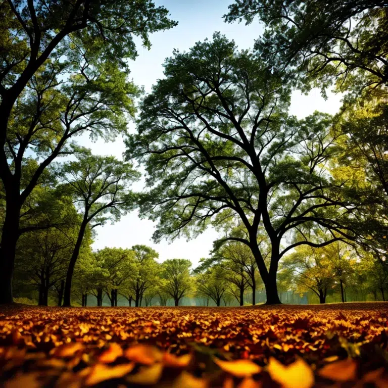 Fotos arvore sonhos fragilidade perseveranca scaled Fotos arvore sonhos fragilidade perseveranca scaled